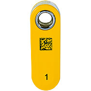 Transponder Key (402261)